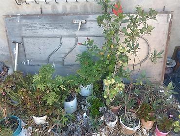 Beton plitələr: Hem beton plitə eni 1.2 eni, 6 m uzunu olan həm de, dəmir qapılar eni — 3