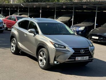 Toyota: Lexus NX: 2017 г., 2 л, Автомат, Бензин, Кроссовер