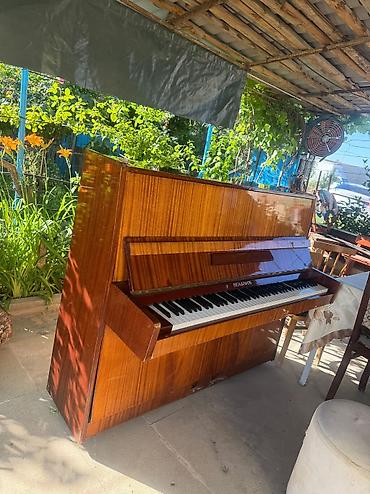 Musiqi alətləri: Piano, Belarus, Akustik, İşlənmiş, Ödənişli çatdırılma, Ünvandan götürmə, Pulsuz çatdırılma — 5