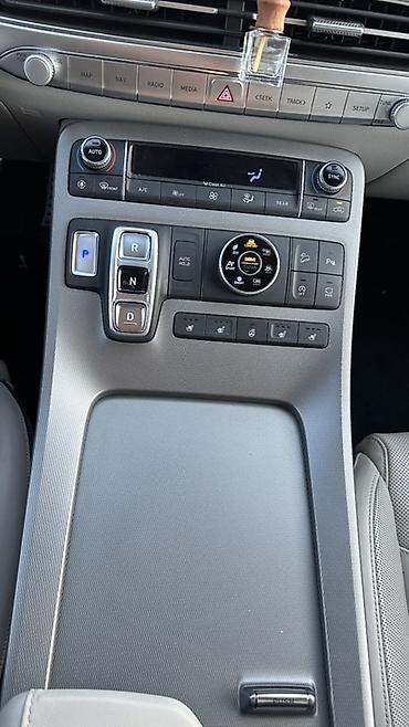 range river: Hyundai Palisade: 2021 г., 2.2 л, Автомат, Дизель, Кроссовер — 6