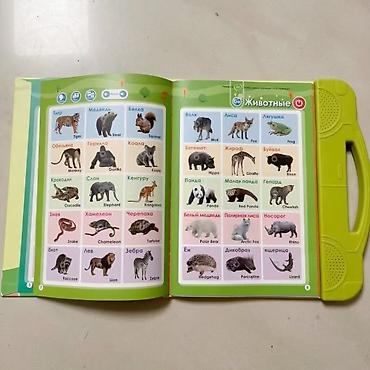 local guide program: Говорящая книга с аудиомодулем “Слушай и учись” - 11 тематических — 3