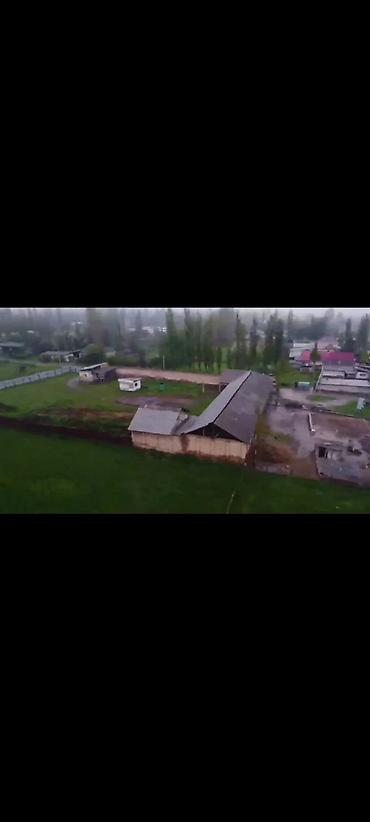 Продажа участков: 45 соток, Для бизнеса, Тех паспорт, Красная книга — 3