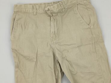 plisowane szerokie spodnie: Shorts for men, S (EU 36), ALPHAR ONE, condition - Very good