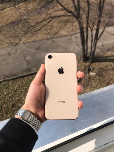 телевон айвон: IPhone 8, Колдонулган, 64 ГБ, Каптама, 100 %