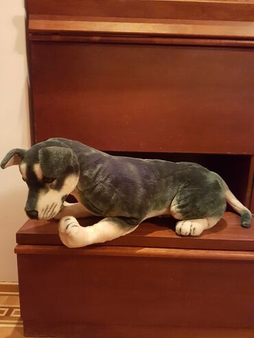 Oyuncaqlar: Oyuncaq it. Çin istehsalı. Uzunluğu 70 - 75 sm. Qiyməti 50 - manat -da lalafo.az — 7 Oyuncaqlar: Oyuncaq it. Çin istehsalı. Uzunluğu 70 - 75 sm. Qiyməti 50 - manat — 7