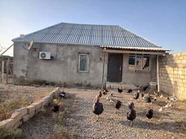 Otaqların uzunmüddətli kirayəsi: 6 sot torpağın icinde 4 otaglı heyet evi evin bir otagi remontsuzdur -da lalafo.az — 9 Otaqların uzunmüddətli kirayəsi: 6 sot torpağın icinde 4 otaglı heyet evi evin bir otagi remontsuzdur — 9