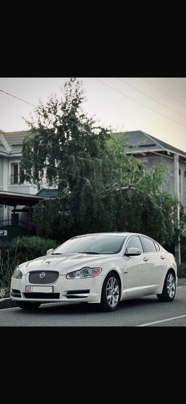 jaguar f type: Jaguar XF: 2009 г., 3 л, Автомат, Бензин, Седан