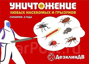 осы: Дезинфекциялоо, дезинсекциялоо, | Бүргөлөр, Кумурскалар, Таракандар, | Жертөлө, ороо, Батирлер, Үйлөр — 6