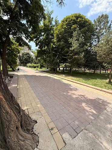karven квартира: 2 комнаты, 65 м², Дворец спорта Элитка, 4 этаж, Свежий ремонт — 2