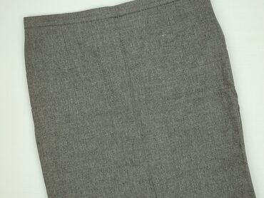 spódnice tiulowe dla puszystych: Women`s skirt, 4XL (EU 48)