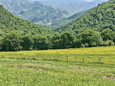 Torpaq sahələrinin satışı: 50 sot, Mülkiyyətçi, Kupça (Çıxarış) — 4
