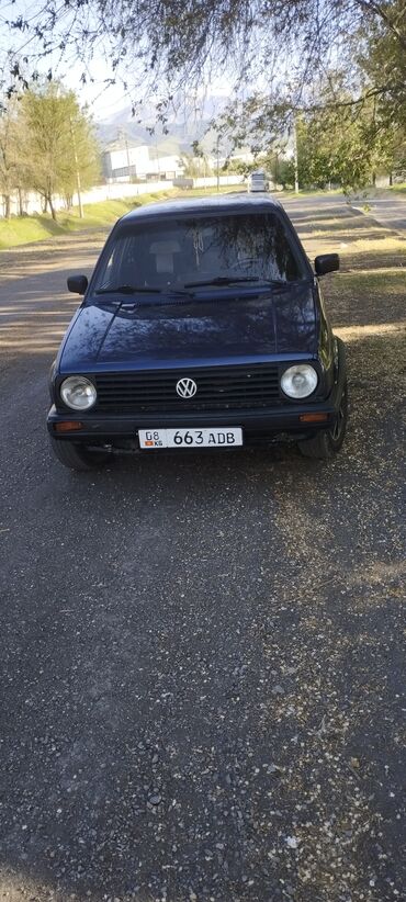 Volkswagen: Volkswagen Golf: 1989 г., 1.8 л, Механика, Бензин, Хэтчбэк