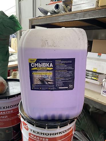 Смывка для снятия водоэмульсионной краски, 5 л Профессиональное