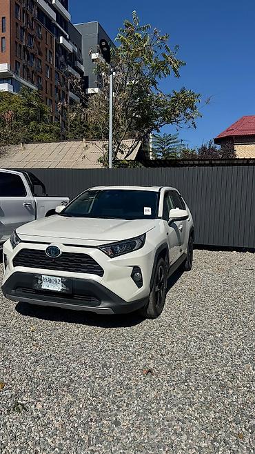 Toyota: Toyota RAV4: 2020 г., Гибрид, Кроссовер — 10