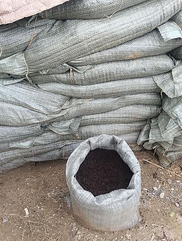 Torf: Torf narin balaken — 4