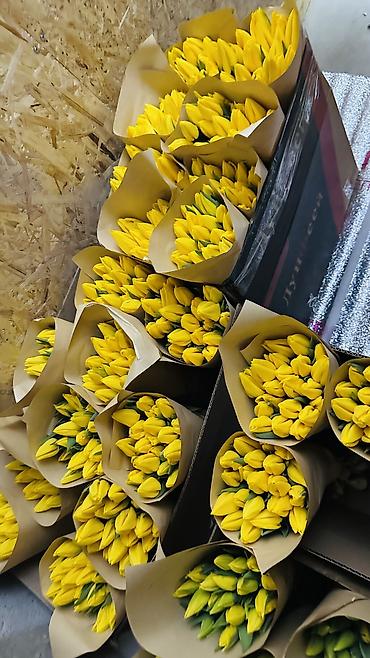 Букеты из живых цветов: ТЮЛЬПАНЫ ТЮЛЬПАНЫ ТЮЛЬПАНЫ на 8 марта. Бронь - Палитра: ярко‑желтые — 2