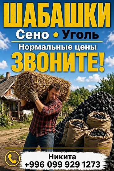 Сено и уголь — продажа и погрузка. - Сено: тюки/рулоны для кормления at lalafo.kg Сено и уголь — продажа и погрузка. - Сено: тюки/рулоны для кормления