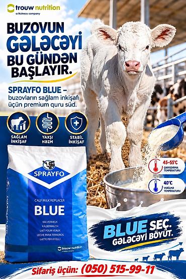 yemler: SPRAYFO BLUE – Buzovlar üçün quru süd / süd / süd qurusu / buzov — 1