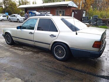 w124 дерево: Mercedes-Benz W124: 1988 г., 2.3 л, Механика, Бензин, Седан