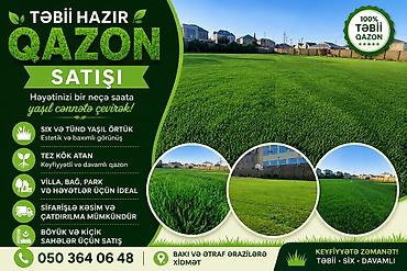 tam insaat: Təbii hazır qazon – həyətinizi bir neçə saata yaşıl cənnətə çevirən — 1