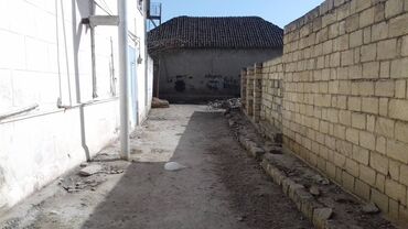 Torpaq sahələrinin satışı: 7 sot, Mülkiyyətçi, Kupça (Çıxarış) — 11