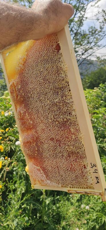 Bal: ELF BEE'S 1977 ECO-PRODUCT FOR HEALTH AND LONGEVITY Tovuzun -da lalafo.az — 22 Bal: ELF BEE'S 1977 ECO-PRODUCT FOR HEALTH AND LONGEVITY Tovuzun — 22