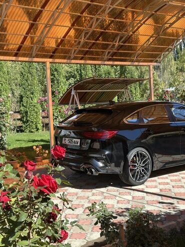 Kia: Kia K3: 2019 г., 1.6 л, Автомат, Бензин, Хэтчбэк — 14