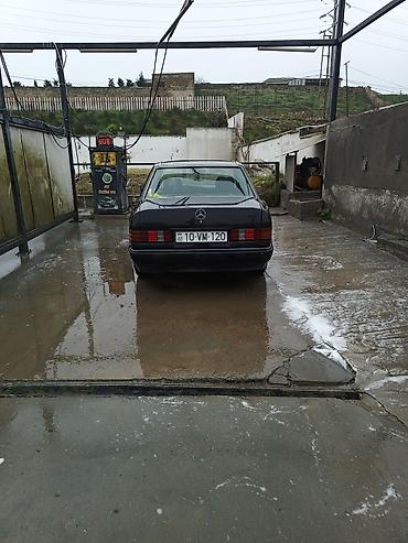 mercedes e240 kompressor: Mercedes-Benz 190 (W201): 0.2 l | 1992 il Sedan — 5