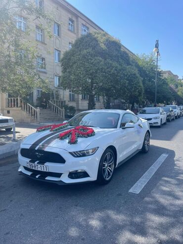 Nəqliyyat vasitəsinin icarəsi: Günlük, Depozitsiz — 27