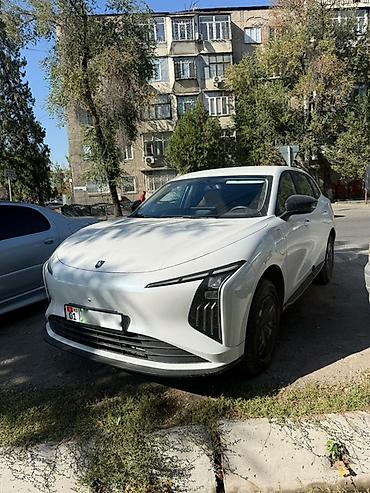Dongfeng : 2026 г., Электромобиль, Кроссовер