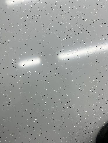 Напольные работы: Стяжка пола, Реставрация разного типа пола, Шлифовка пола Больше 6 лет опыта — 17