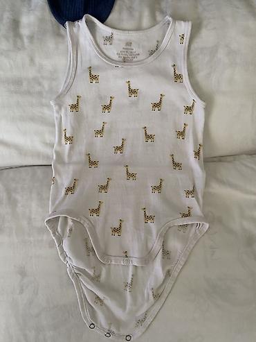 Боди: Боди — 12