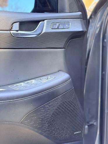 Hyundai: Hyundai Palisade: 2019 г., 2.2 л, Автомат, Дизель, Кроссовер — 10