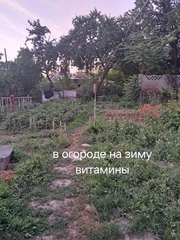 дома в военно антоновке: Дом, 52 м², 3 комнаты, Собственник, Косметический ремонт