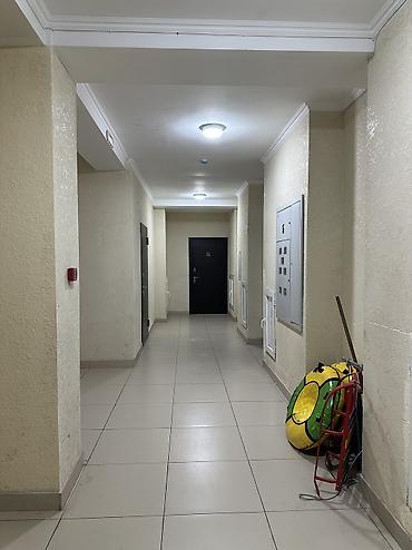 Продажа квартир: 1 комната, 55 м², Элитка, 5 этаж, Косметический ремонт — 10