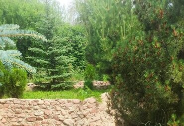 Продажа домов: Дом, 100 м², 5 комнат, Собственник — 20