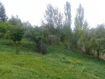 Torpaq sahələrinin satışı: 14 sot, Tikinti, Mülkiyyətçi, Kupça (Çıxarış) — 5