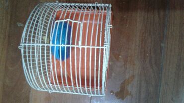 Su və yem qabları: Shekilleri cevirin Xamyaklar ucun her bir aksesuarlar satilir — 4