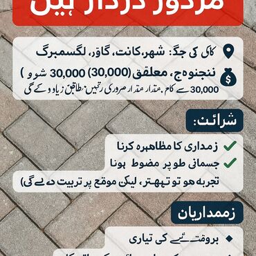 я ищу работу в бишкеке: بروقتے کی تیاری کے لئے مزدور درکار ہیں 📌 کام کی جگہ: شہر کانت، گاؤں