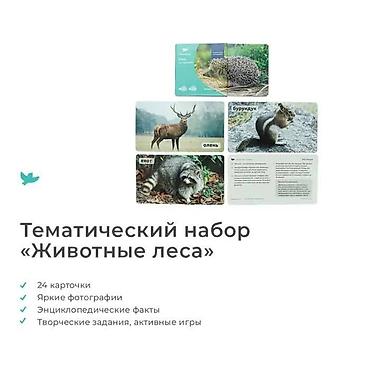 ensiklopediya: Игровая энциклопедия в фотографиях — 4