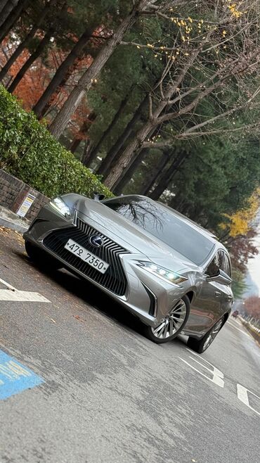 Lexus: Lexus ES: 2019 г., 2.5 л, Вариатор, Гибрид, Седан — 6