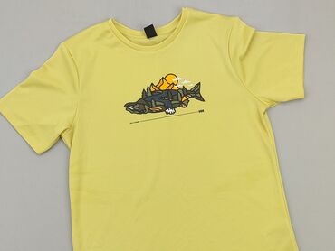 koszulka z piórami: T-shirt, 14 years, 158-164 cm, condition - Good
