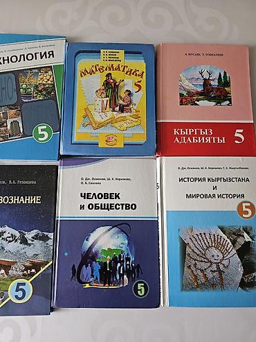 Комплект школьных учебников для 5 класса (КР) В набор входят: -