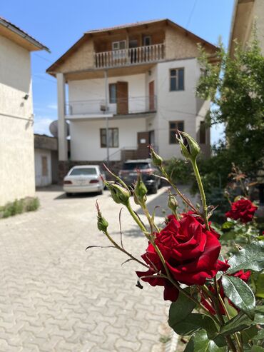 цокольное помещение аренда: Сдаю кафе в аренду в гостевом доме Чолпон Ата напротив ипподром 100