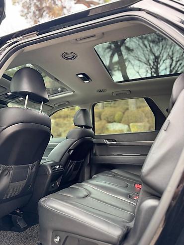 Hyundai: Hyundai Palisade: 2020 г., 2.2 л, Дизель — 17