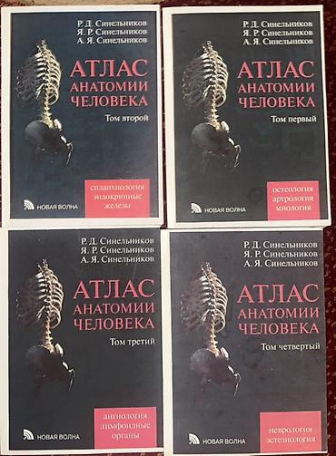 Медицина: Состояние отличное Комплект из 4 томов «Атлас анатомии человека» — 1