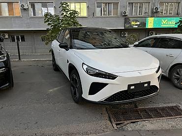 hozon: Hozon Neta L: 2024 г., 1.5 л, Автомат, Электромобиль, Кроссовер — 4