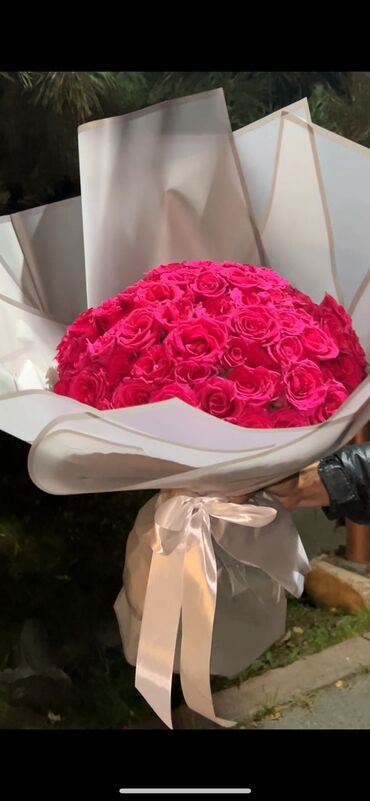 цветы розы акции: Семена и саженцы Роз, Платная доставка