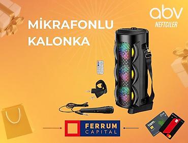 Dinamiklər və kolonkalar: Dinamik ZQS4303 Kalonka g-e ZQS4303, həm daxili, həm də xarici — 2