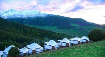 купить поле для посева: 55 соток, Бизнес үчүн, Сатып алуу-сатуу келишими